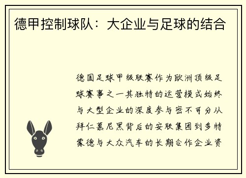 德甲控制球队：大企业与足球的结合